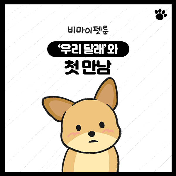 첫 만남