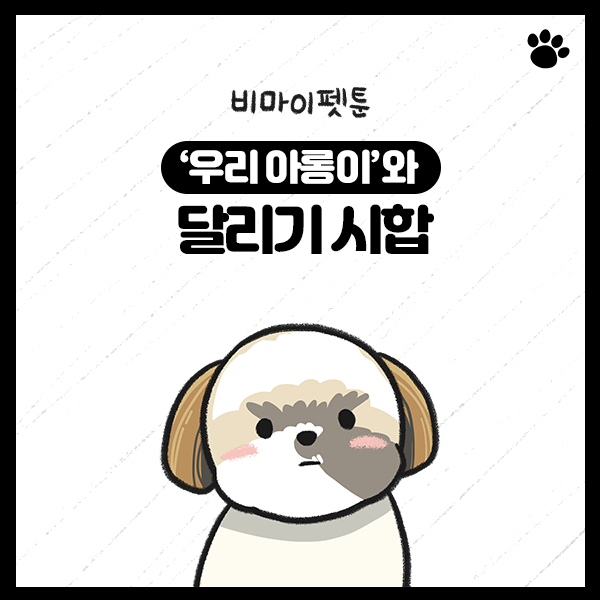 강아지 시츄