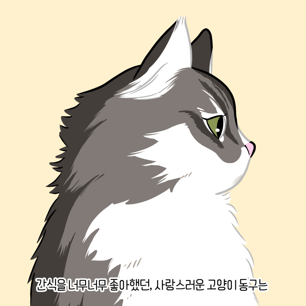 고양이 옆모습