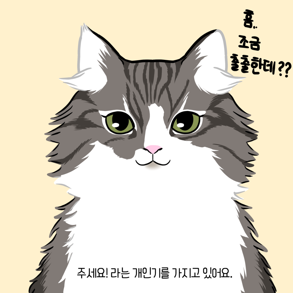 고양이 얼굴