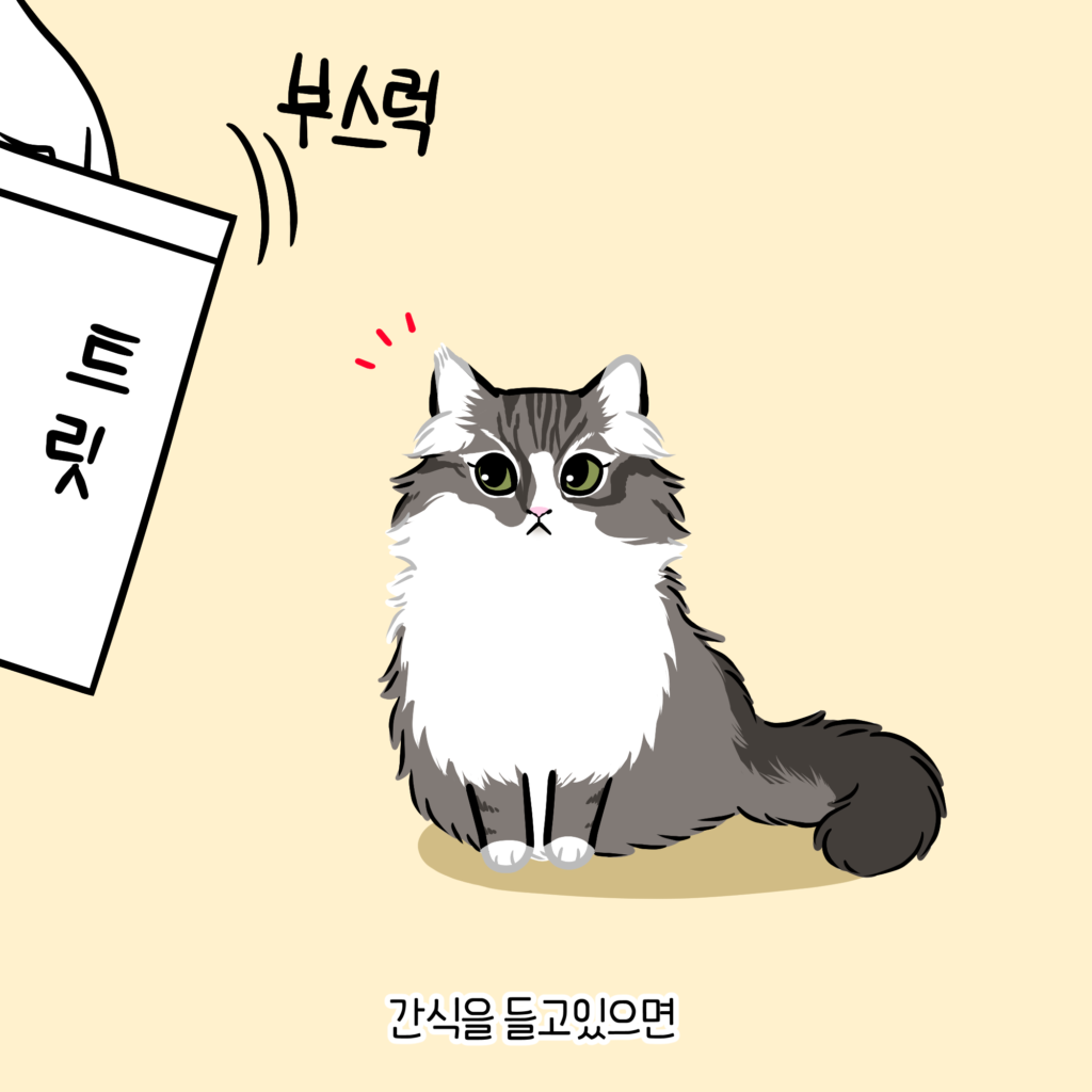 고양이 트릿