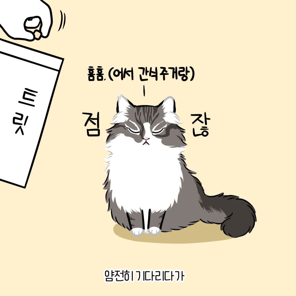 고양이 간식