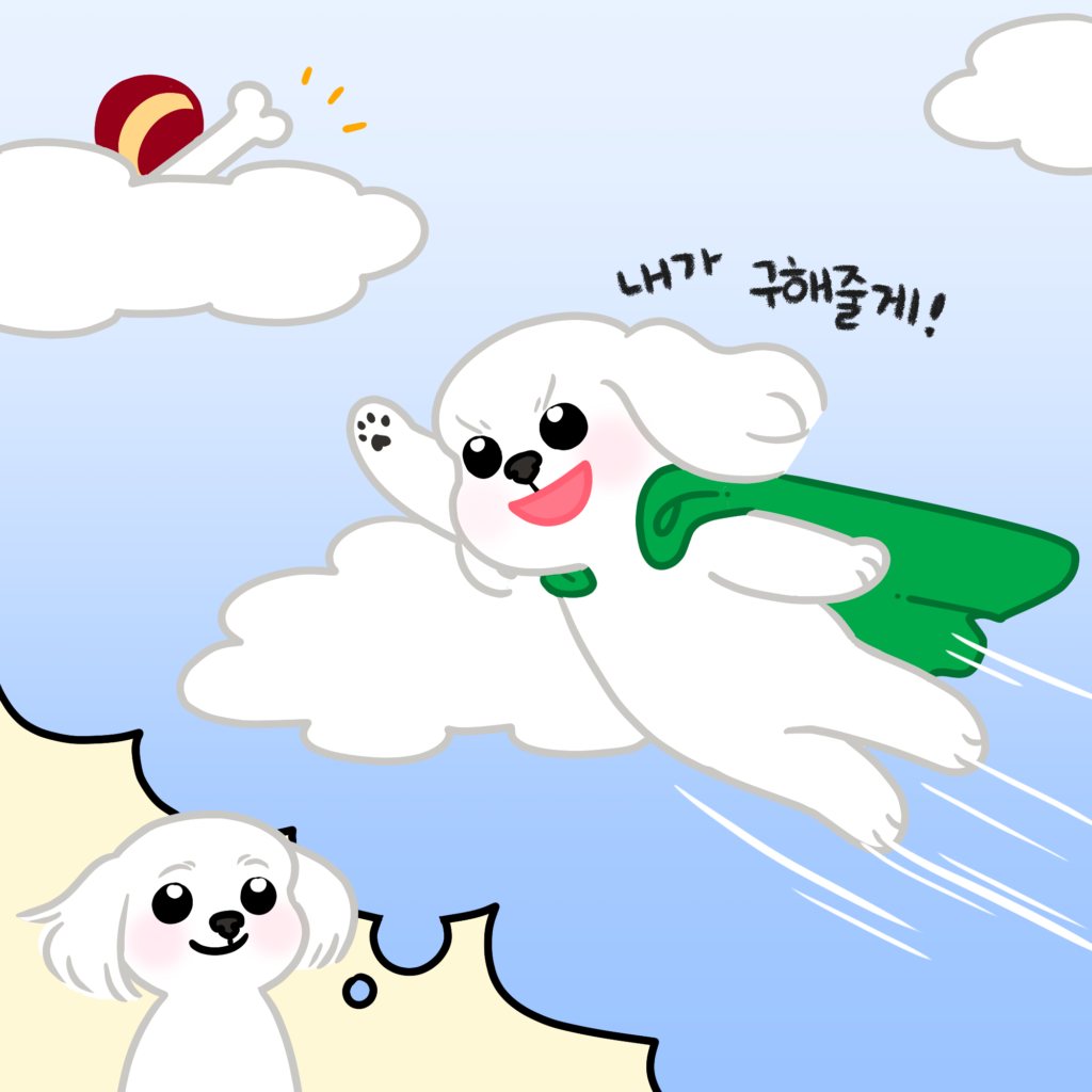 강아지 슈퍼맨