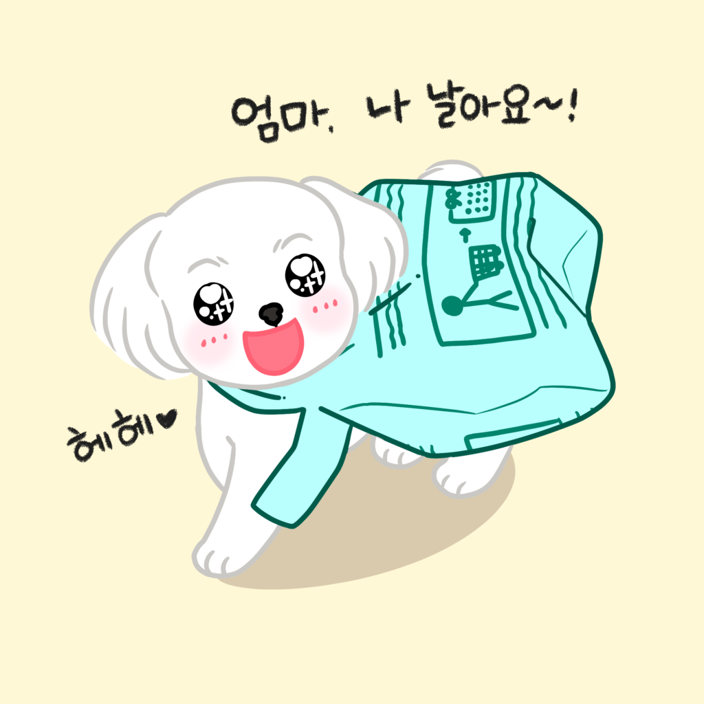 강아지 슈퍼맨