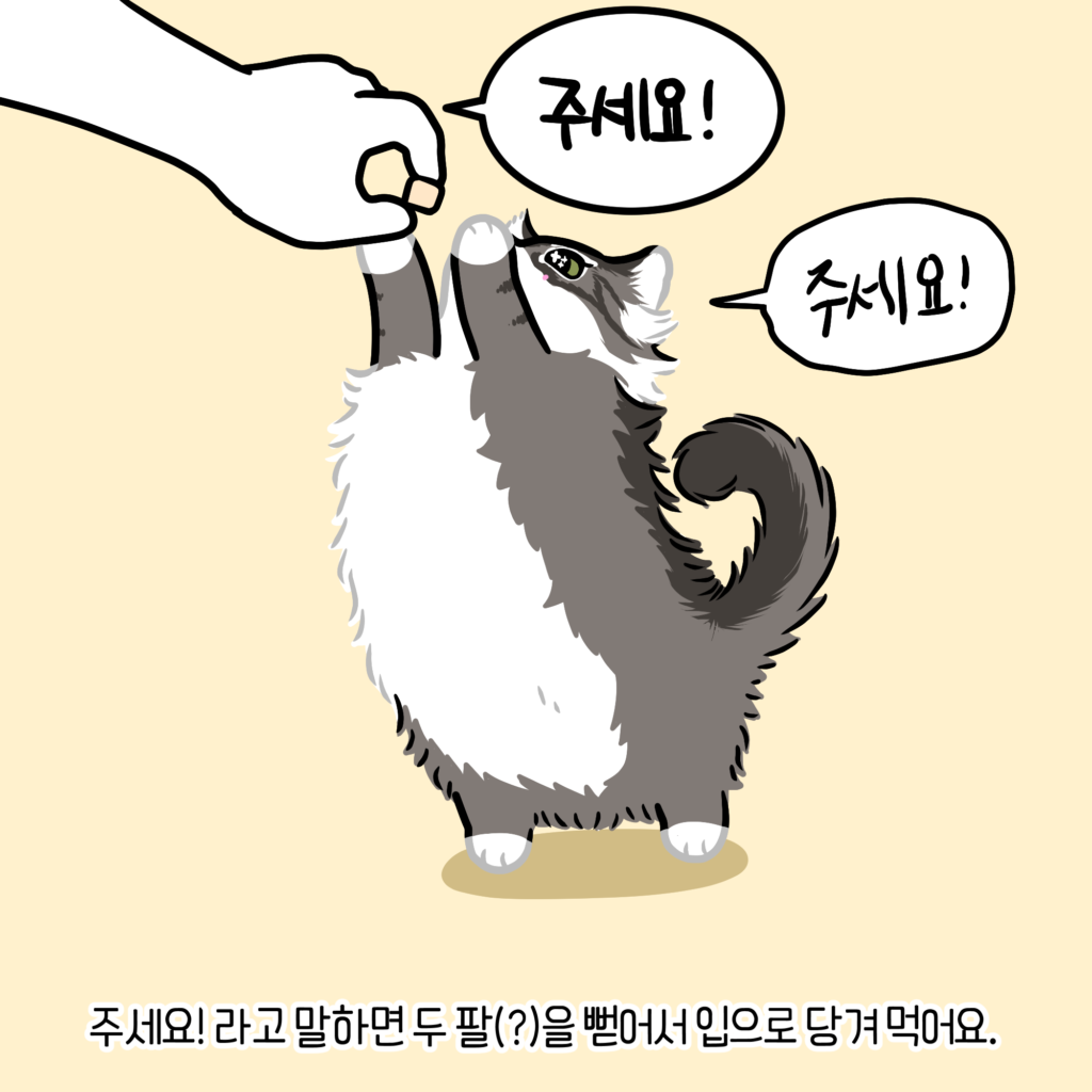 고양이 주세요