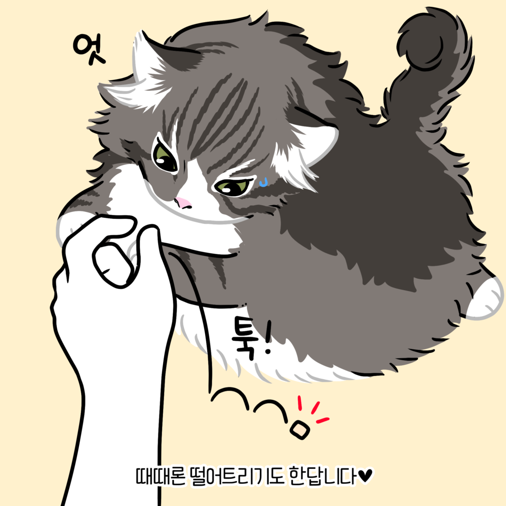 고양이 만화