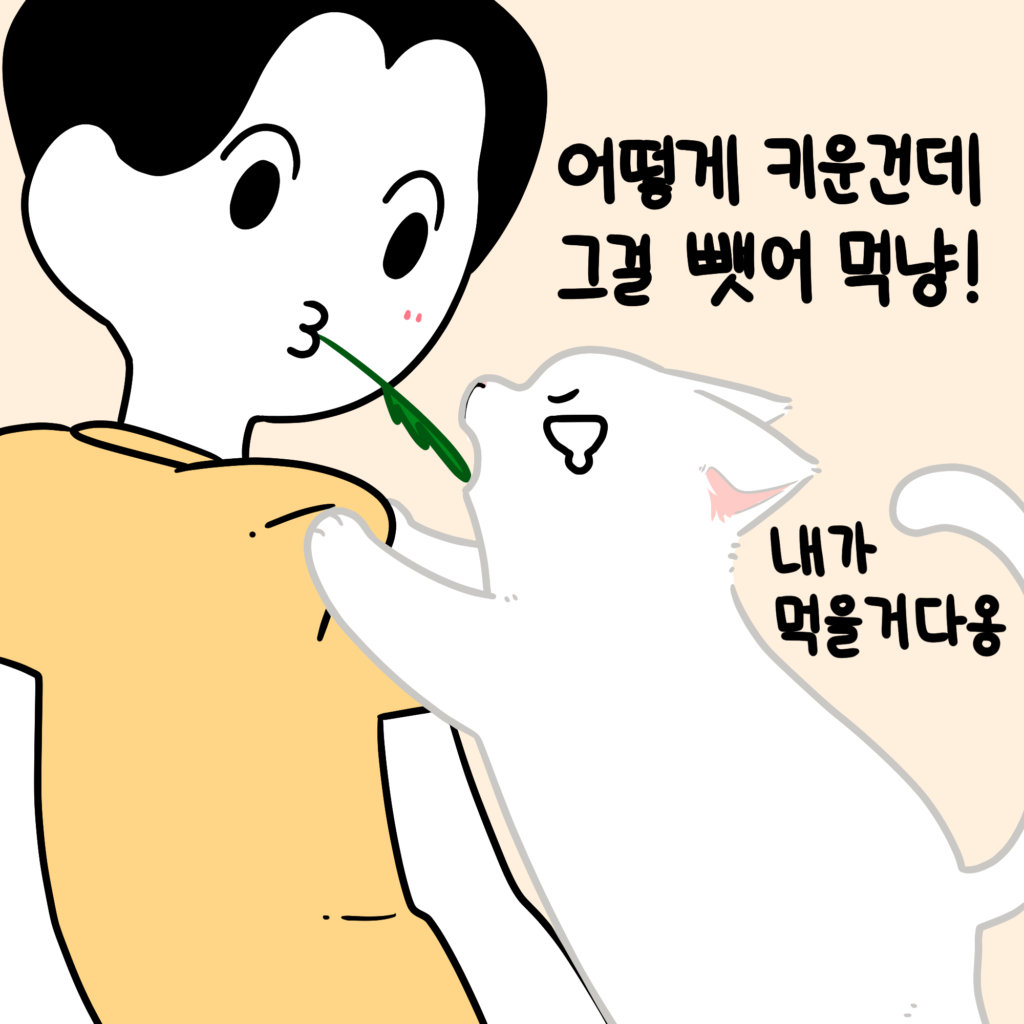 고양이 뽀뽀