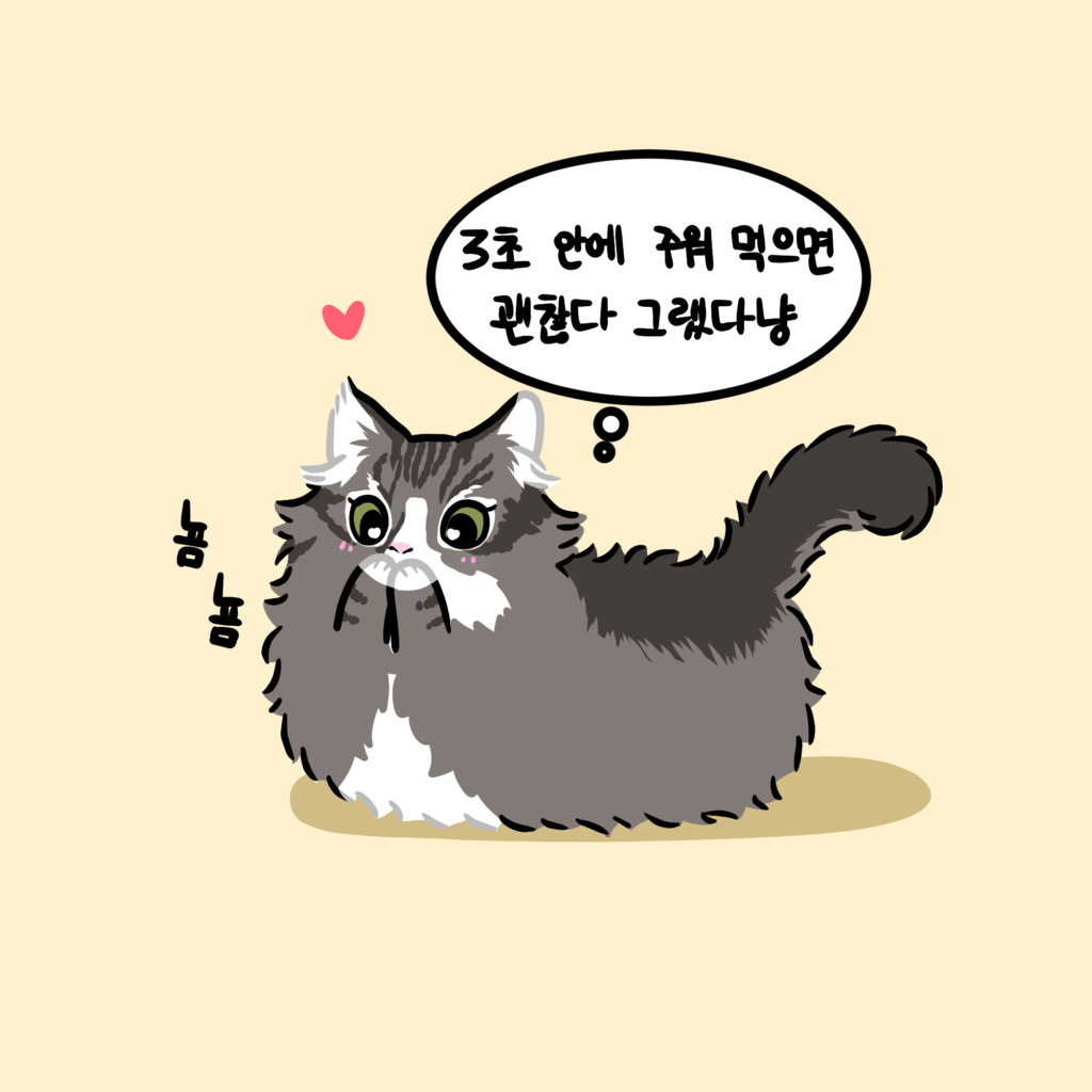 고양이 음식