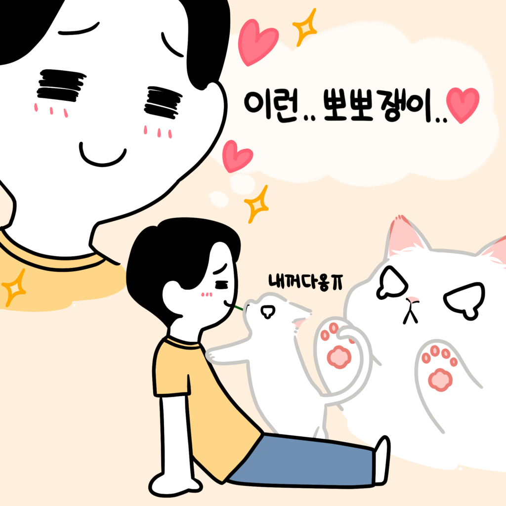 고양이 뽀뽀