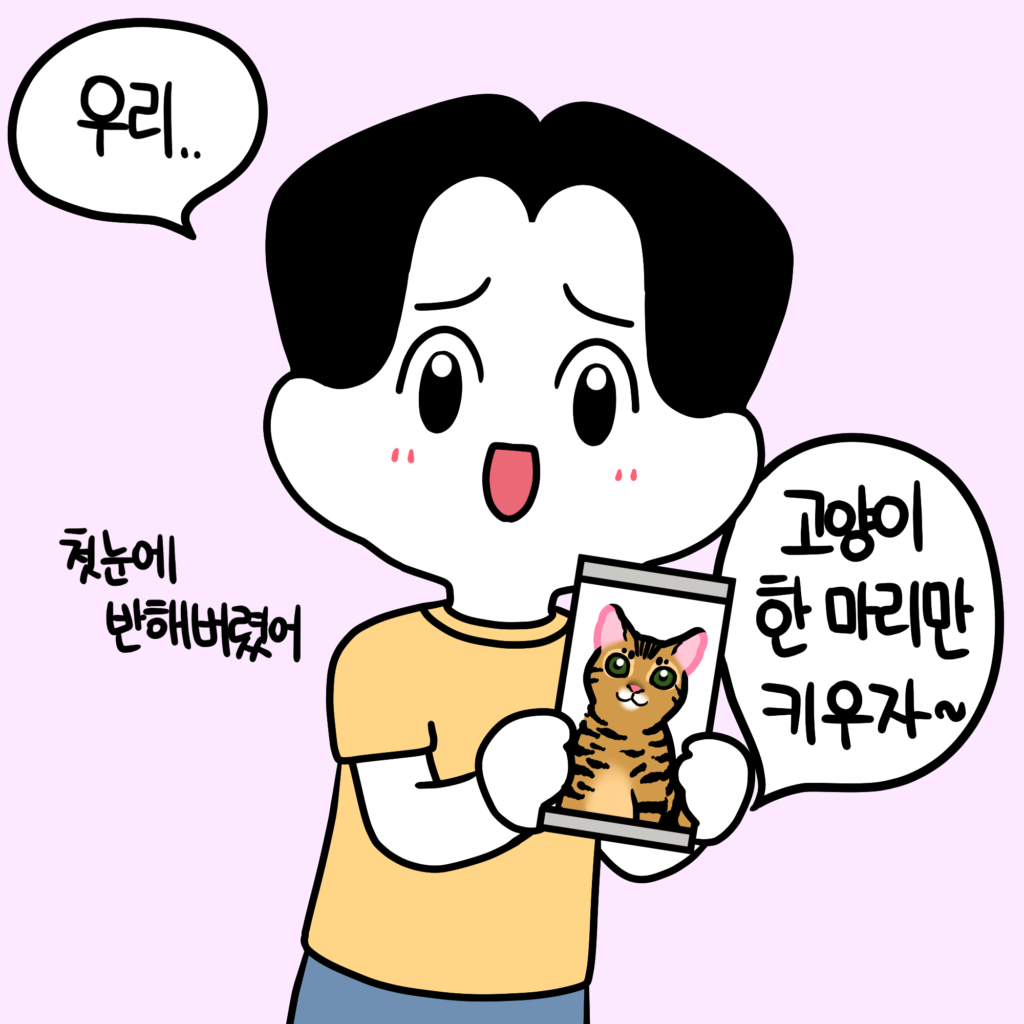 고양이 만화