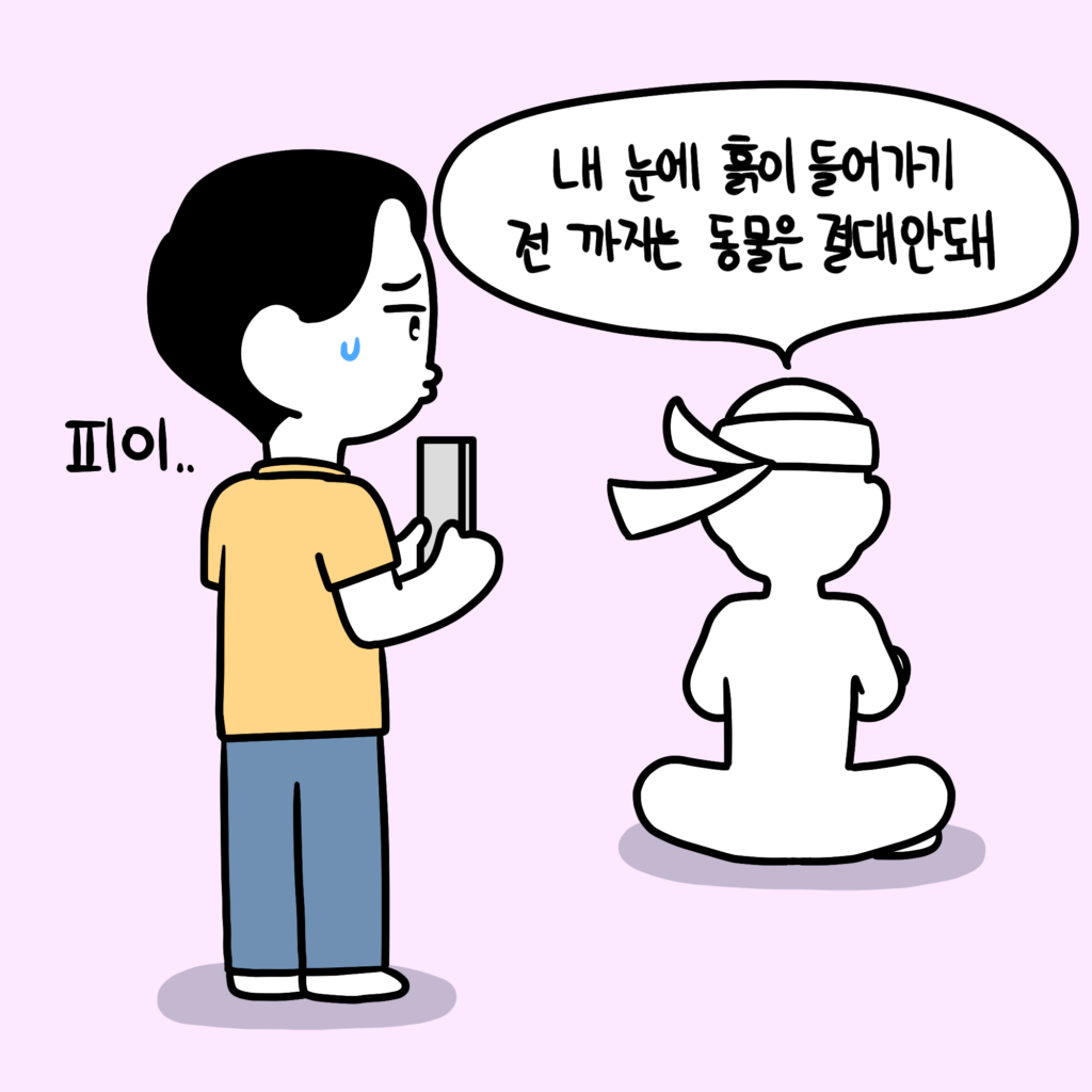 고양이 입양