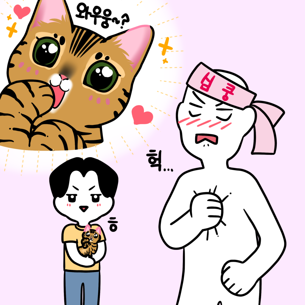 고양이 애교