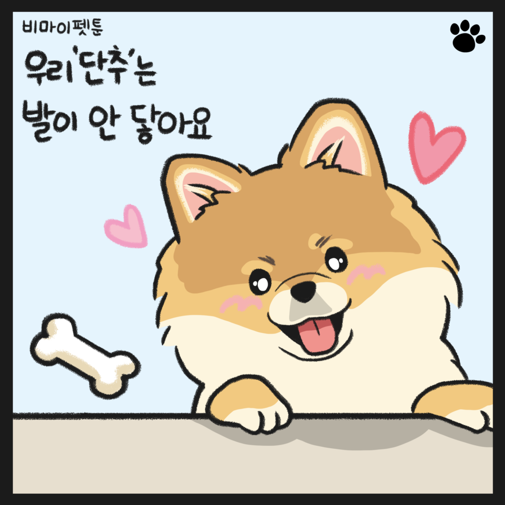 강아지 간식