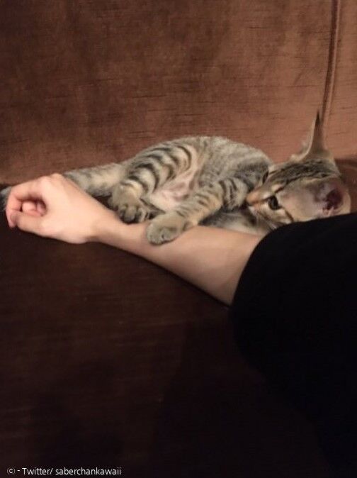 여동생이