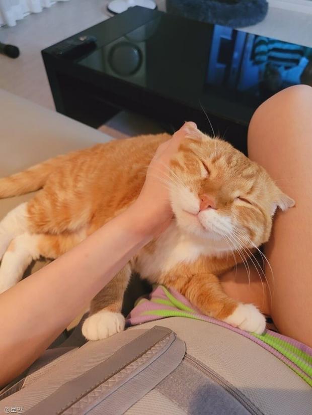 ⓒ노트펫