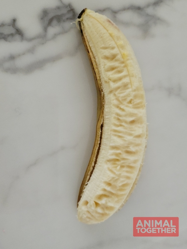 초토화된 바나나가 보이시나요?