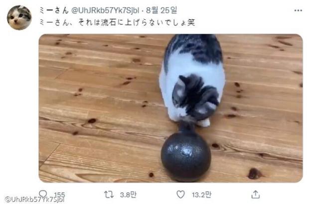 이미지를 클릭하시면 트위터 원본 동영상으로 이동합니다.