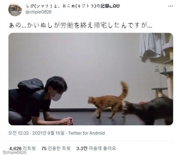 이미지를 클릭하시면 트위터 원본 동영상으로 이동합니다.