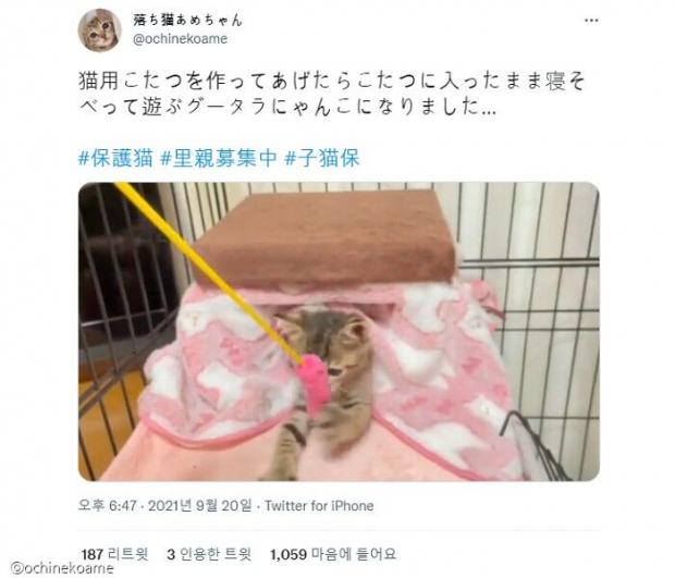 ⓒ노트펫