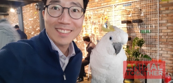 저랑 같이 찍은 이 아이가 바로 코카튜입니다.
