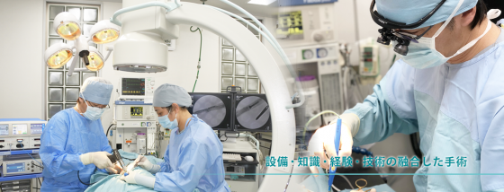 【일본통신】(59)일본의 대형 프랜차이즈 동물병원들①