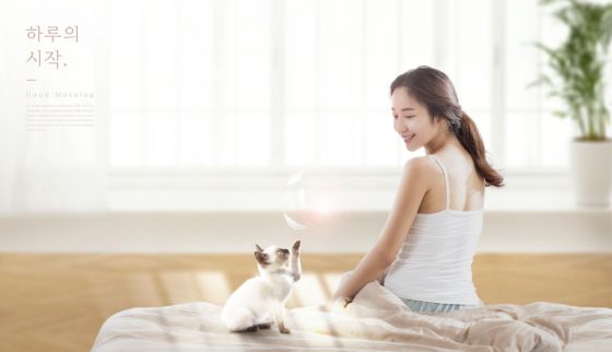 내달부터 고양이도 등록하세요… 인근 동물병원에서 가능
