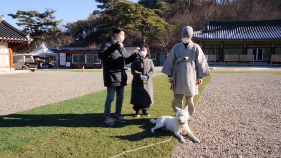 절에 사는 멍멍이 보살들의 특별한 겨울나기