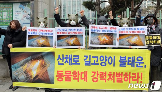 길고양이 불붙인 학대범에 “법정최고형 처벌해야”