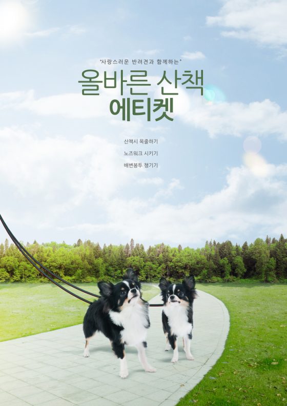 반려견 목줄 2m 이내로…과태료 단속 피하려면?
