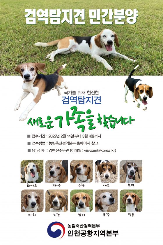 국가에 봉사해온 검역탐지견 10마리 민간에 분양