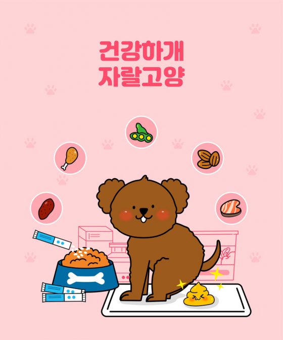 【코코칼럼】동물병원이 파는 영양제와 간식, 믿어도 되나?