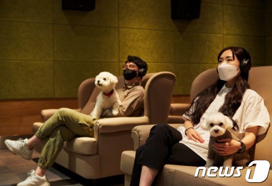 “강아지랑 극장 가요”…퍼피 시네마 개관