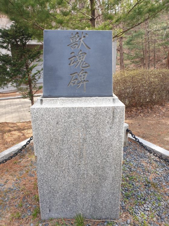 실험동물 추모제와 AR로 만나는 개구리 해부실습