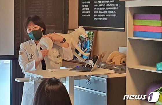 “우리 강아지 20년 장수하기”…침 맞고 마사지하고 재활하고