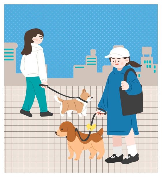 “해치 펫트롤”…서울에 ‘반려견 순찰대’가 뜬다
