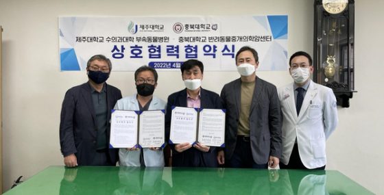 충북대 제주대, 반려동물 종양 진료 손 잡았다