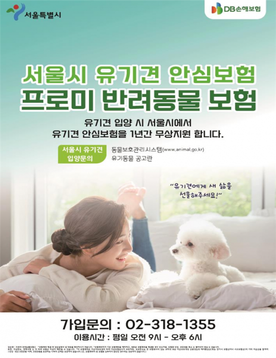 서울시, 유기동물 입양하면 1년간 펫보험과 진료비 지원