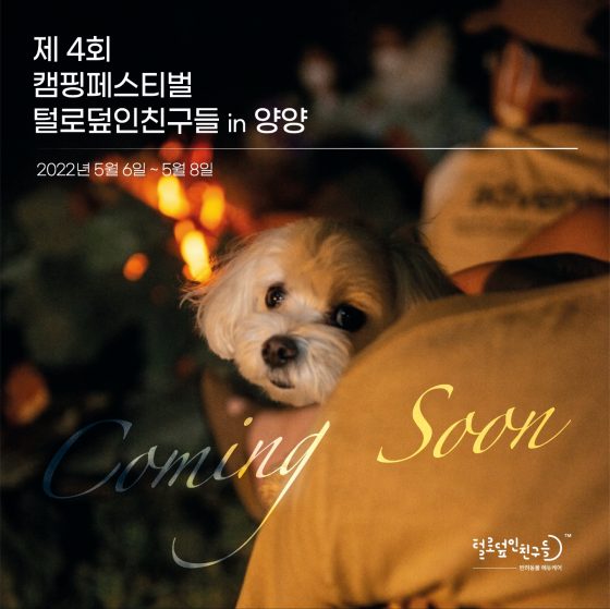 반려견과 함께 강원도 양양에서 오토 캠핑