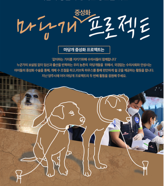 국경없는 수의사회, 29일 안성에서 ‘마당개 중성화’
