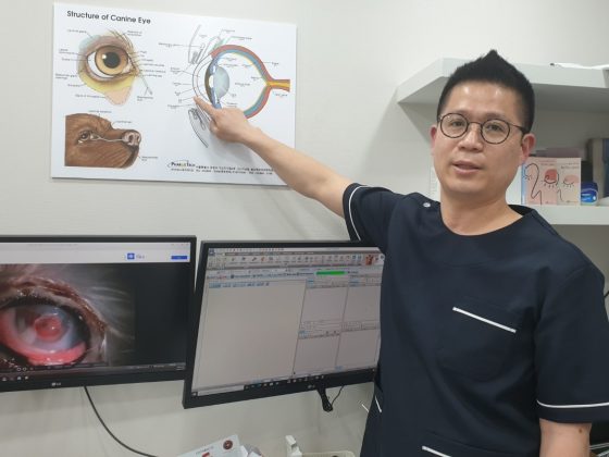 【코코인터뷰】대구에 첫 안과동물병원, 박영우 수의사