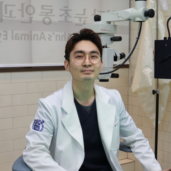 【코코헬스】사람에겐 드문 수정체 탈구, 강아지에겐 왜…?