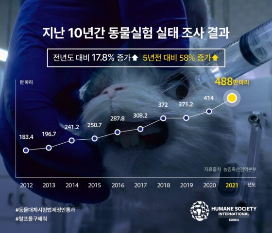 지난해 488만마리 동물실험…”절반은 극심한 고통 겪어”
