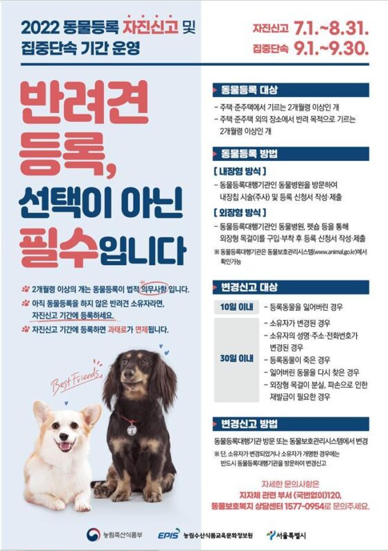 7~8월 두달간 동물 등록 자진신고… 과태료 면제
