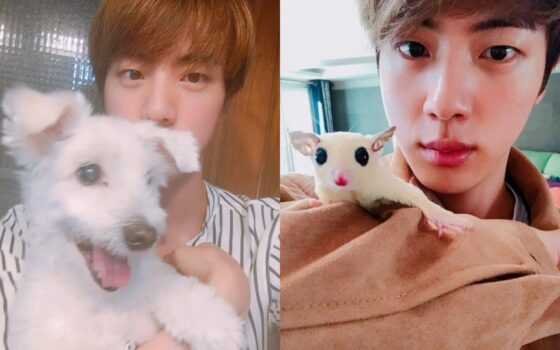 BTS 진 팬들, 동물구조119에 후원금 전달