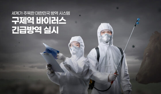 검역본부, “K-항바이러스 물질로 전세계 구제역 잡는다”
