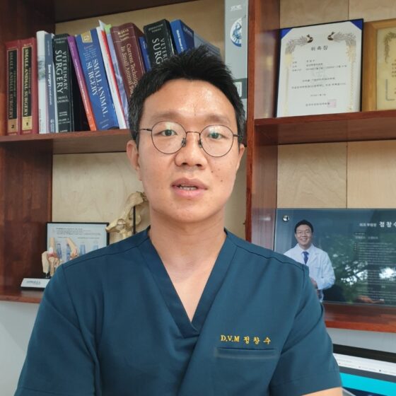 【코코헬스】”강아지 목에 시한폭탄이”…AAI(환축추 불안정증)