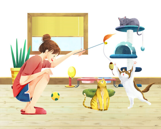 캣타워와 스크래처, 꼭 필요한가요?…고양이 ‘행동 풍부화’