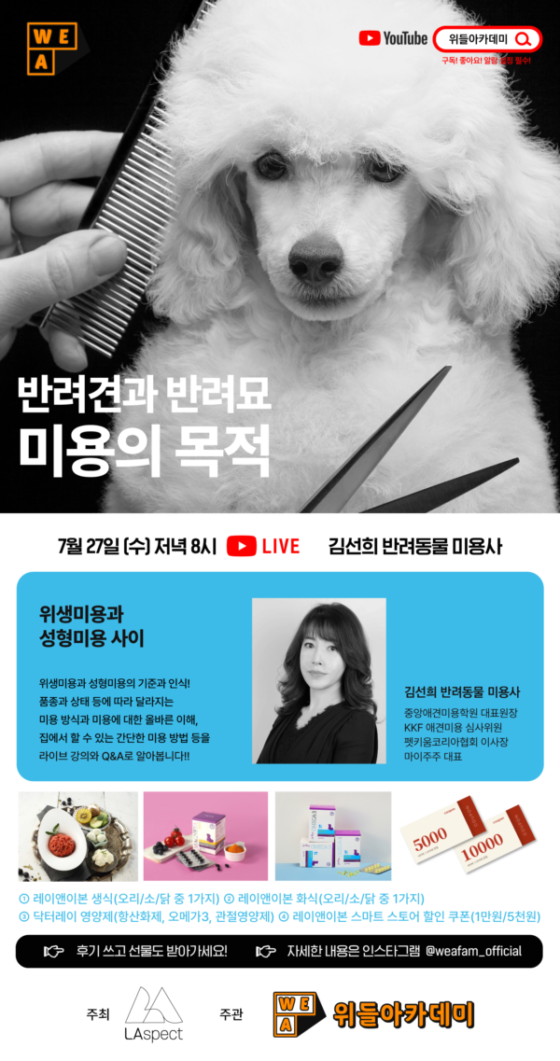 더운 여름, 강아지 털 빡빡 밀면 더 시원해 할까?