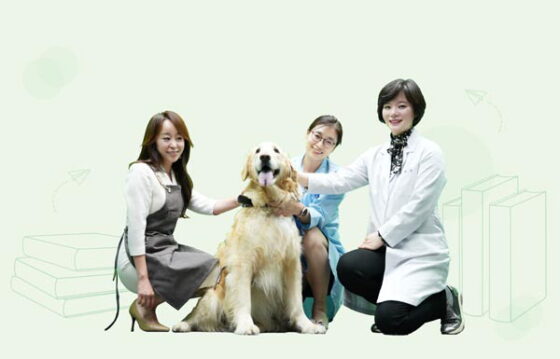 부산 동명대, 반려동물대학 단과대 신설