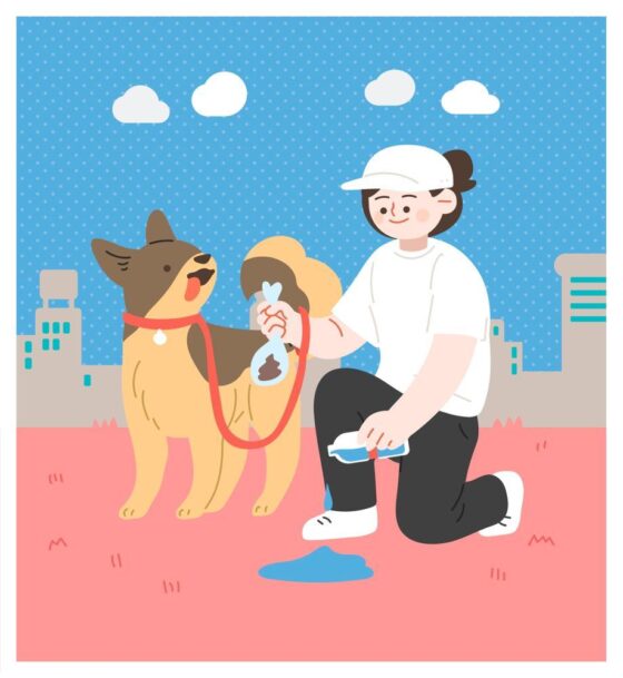 서울시, “반려견 사회화, 행동교정, 산책훈련교실 운영”